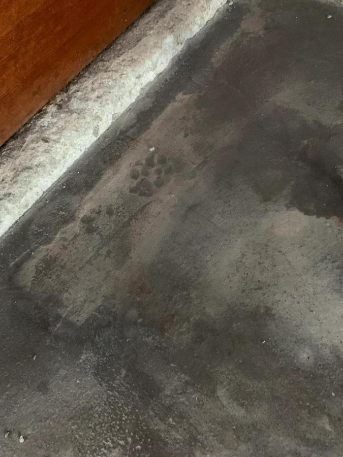囲炉裏町家guesthouse Fujita 一棟貸切 Villa 無料駐車場 하쿠산 외부 사진